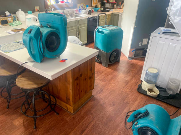 Best Emergency water damage restoration  in Dale, PA