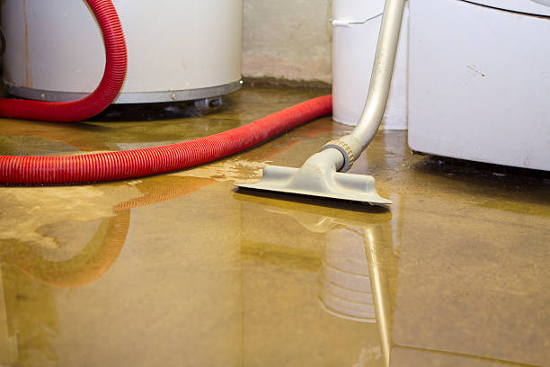 Best Flood damage cleanup  in Dale, PA