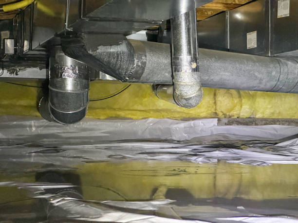 Best Local water damage restoration  in Dale, PA