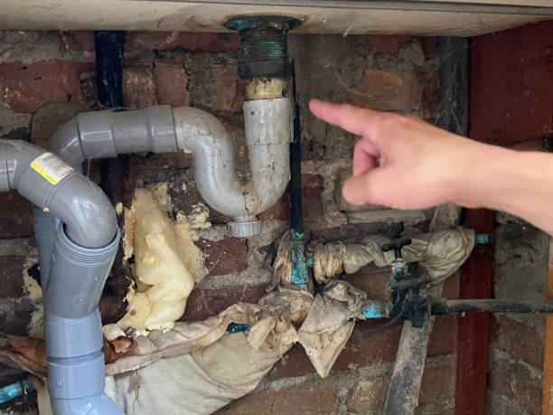Best Basement water damage restoration  in Dale, PA