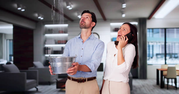 Best Professional water damage repair  in Dale, PA