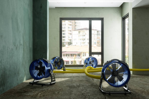 Professional Water damage restoration in Dale, PA